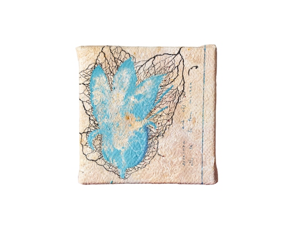 Escriure amb els ulls de la...