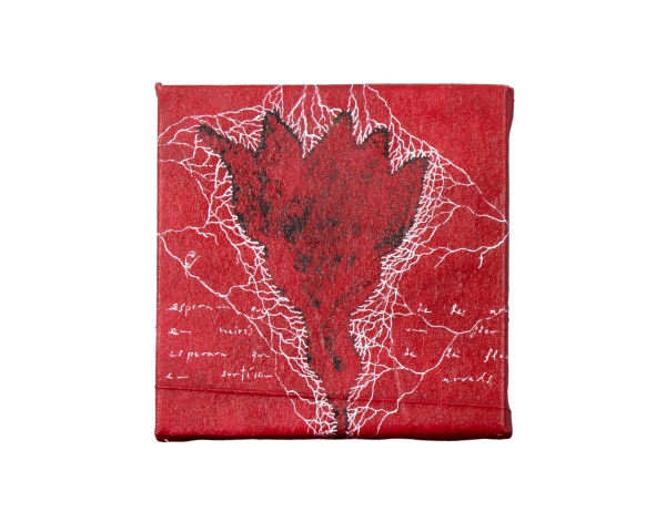 Esperava que de la flor...