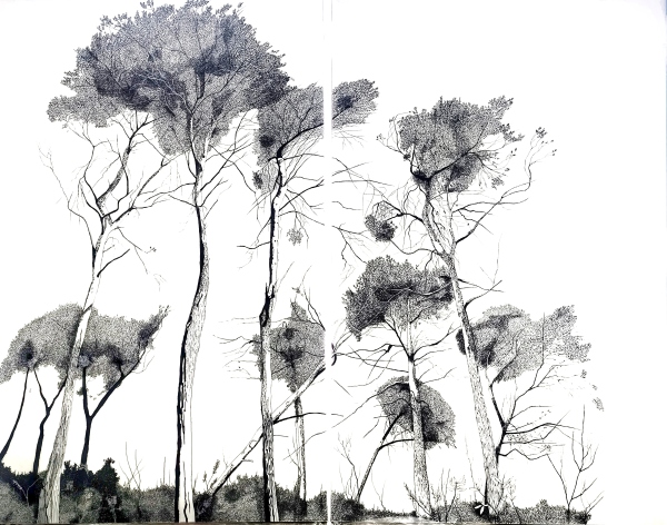 Silenci en blanc i negre,...