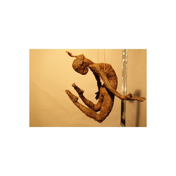 Somni colibrí, V. A. 1/8