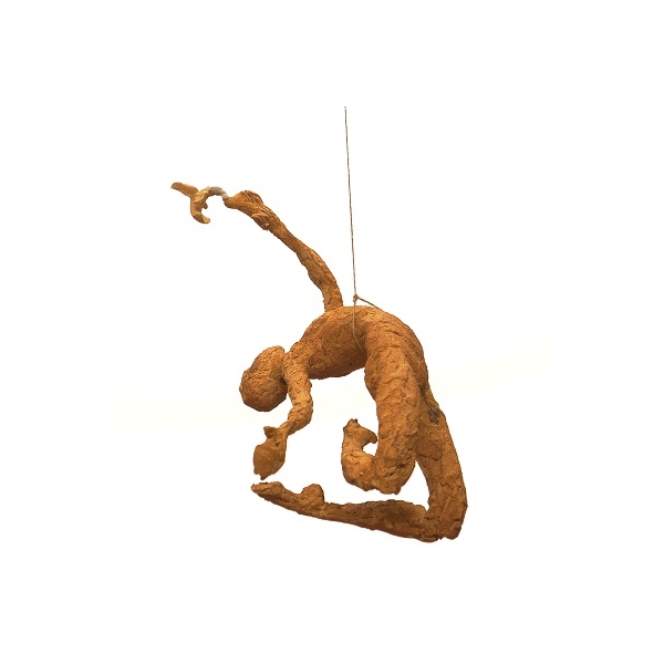 Somni colibrí, I. A. 1/8