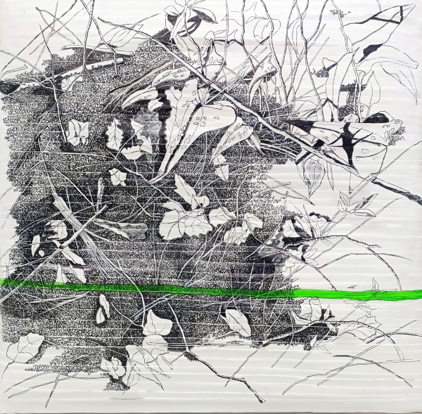 Trepitjant interferències II