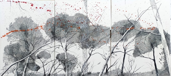 Silenci en blanc i negre,...