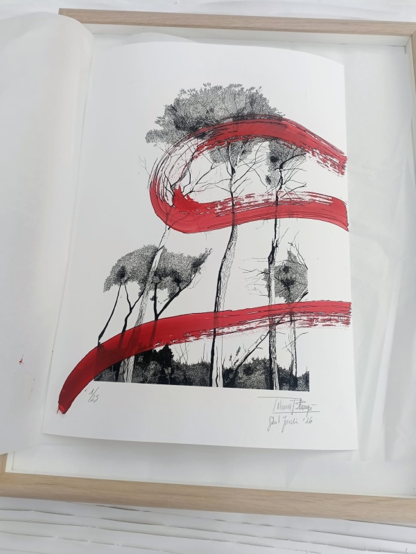 Gran indi|tatiana blanqué|obra amb tema  bosc