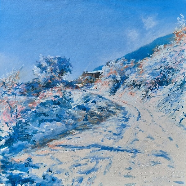 Palimpsest de neu