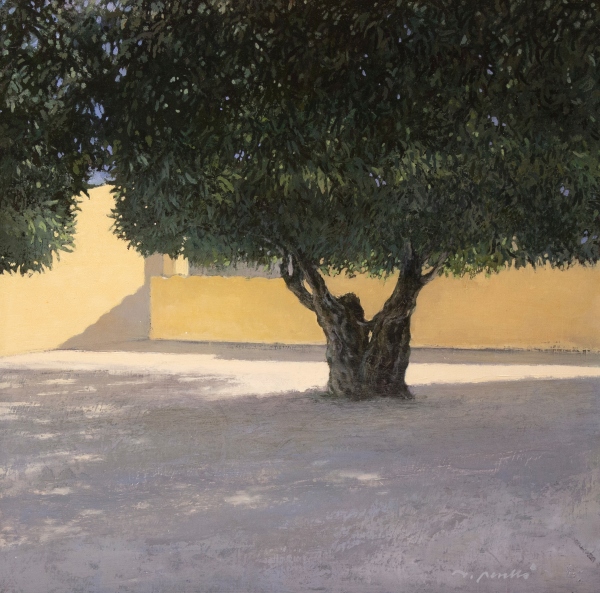 L'olivera