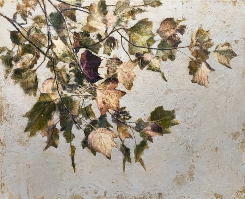 COLECCIÓN OTOÑO 2025